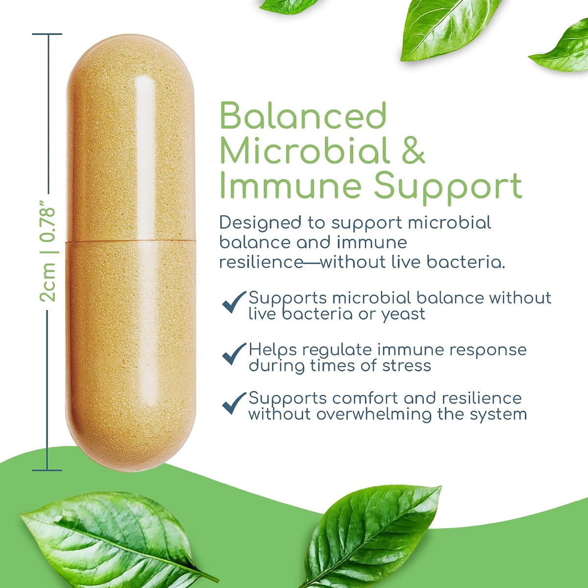 Herbal Biotic, Immune Support Vitamins, Natural Immune System Booster for Adults, Immune Support Supplement Enriched with Cat’s Claw for Probiotic Balance, Digestive Health, 3 Pack
