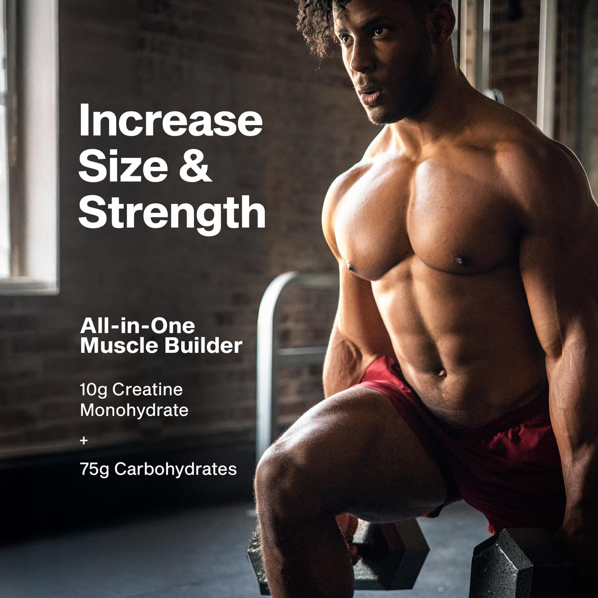 MuscleTech Cell-Tech Creactor Creatine HCl Powder | Post Workout Muscle Builder for Men & Women | Creatine Hydrochloride