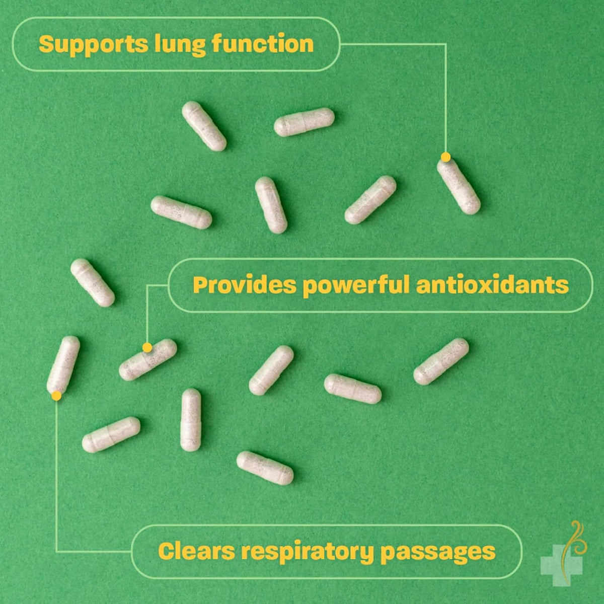 Redd Remedies, Lung Care, Supports Easy Breathing and Respiratory Health, 80 Vegan Capsules