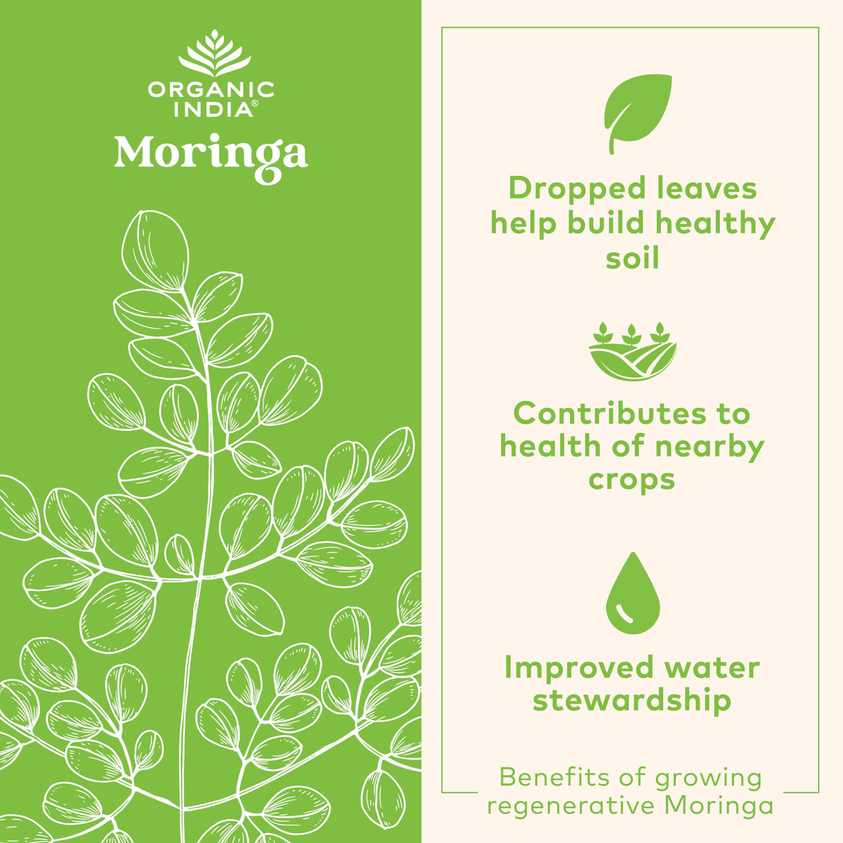 ORGANIC INDIA Moringa Herbal Supplement - Green Superfood, Nutrient Dense, Pure Plant Protein, Vitamin A, E, K, Iron, Calcium, Fiber, Vegan