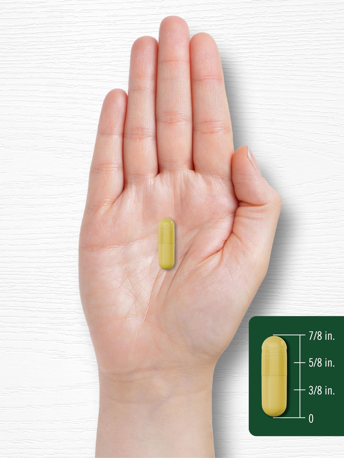 Carlyle Berberine HCL Supplement | 500,000mcg | 60 Capsules | Vegetarian, Non-GMO, Gluten Free