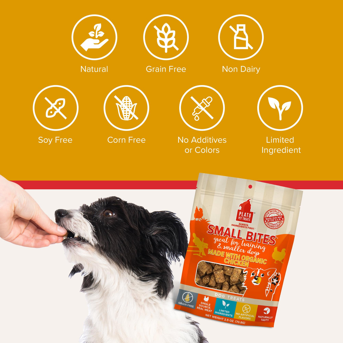 PLATO Pet Treats Small Bites - Air-Dried Training Treats for Dogs - Supports Healthy Digestion - Limited Ingredients - Organic Chicken 6oz - 2 Pack