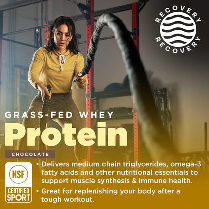 Gnarly Whey Grass-Fed Protein Supplement, Chocolate (32.0oz) and Gnarly Preworkout Strawberry Lemonade Caffeine Free (14.82oz)