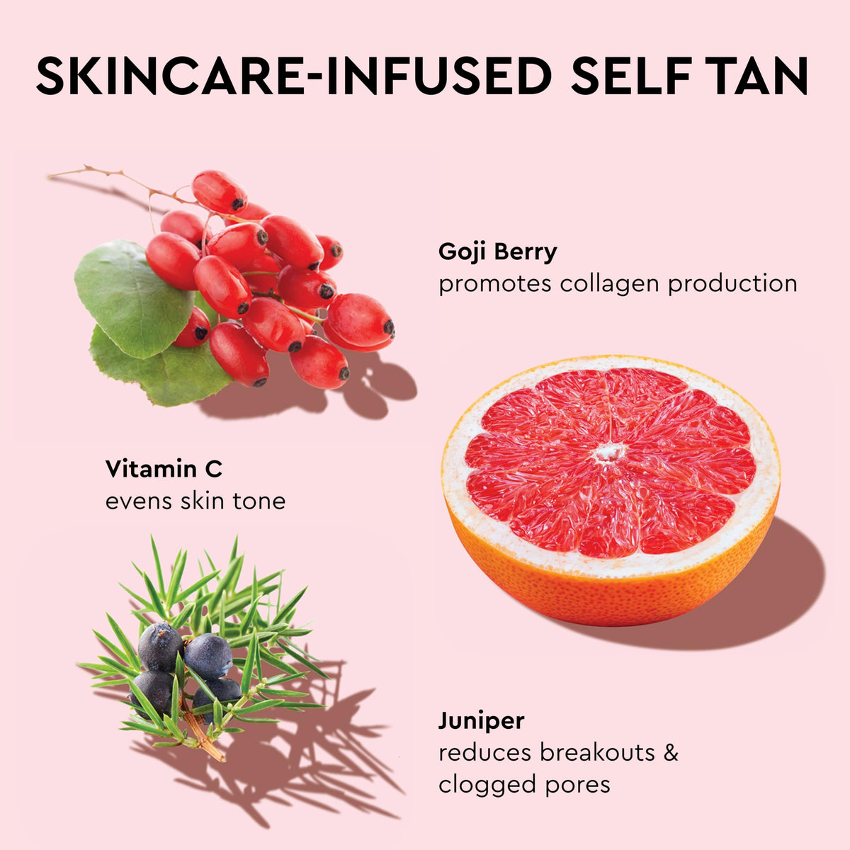 Tanologist Dark Self Tan Drops, Streak-Free Body & Face Tanning Drops, No Fake Tan Smell