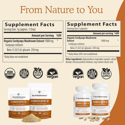 Lions Mane (60g) and Cordyceps (60g) Mushroom Extract Powder Bundle - Mushroom Supplement for Cognition, Energy and Endurance