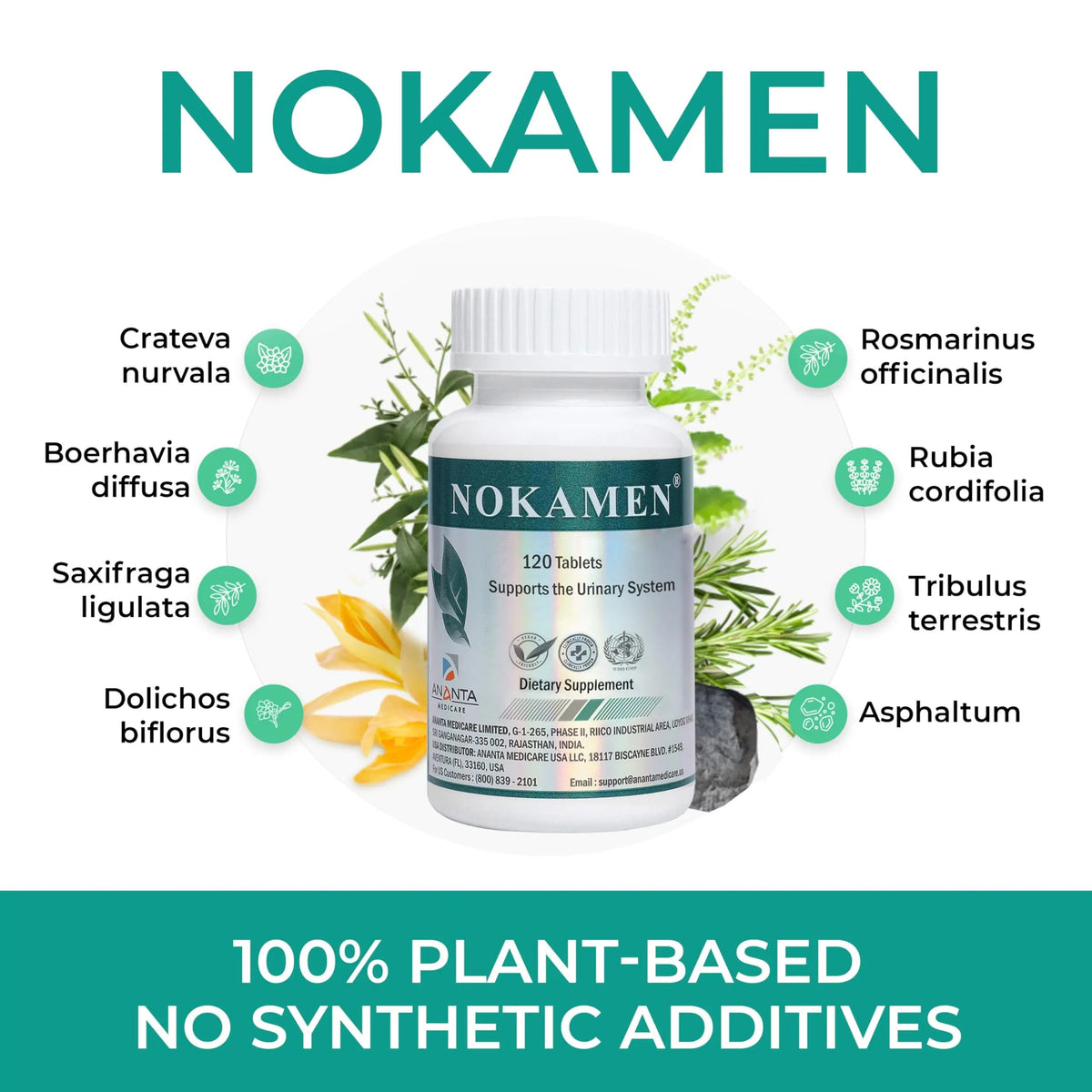 Ananta Medicare USA NOKAMEN – Kidney & Urinary Tract Support Herbal Formula, 120 Tabs Ananta Medicare USABuy Supplements Australia