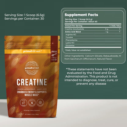 Primal Creatine Powder + Chocolate Protein Vegan Powder Bundle | 2-Pack | Build Muscle, Enhance Recovery & Fuel Performance | 30 Servings Each