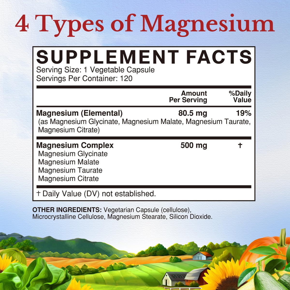Vitalitown Magnesium Complex Supplement 500mg - NSF Certified Magnesium Glycinate, Malate, Taurate & Citrate - Chelated High Absorption & Gentle on Stomach - Vegan Non-GMO 120 Capsules VITALITOWNBuy Supplements Australia