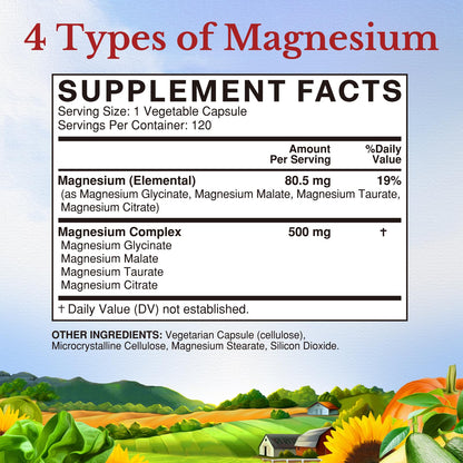 Vitalitown Magnesium Complex Supplement 500mg - NSF Certified Magnesium Glycinate, Malate, Taurate & Citrate - Chelated High Absorption & Gentle on Stomach - Vegan Non-GMO 120 Capsules VITALITOWNBuy Supplements Australia