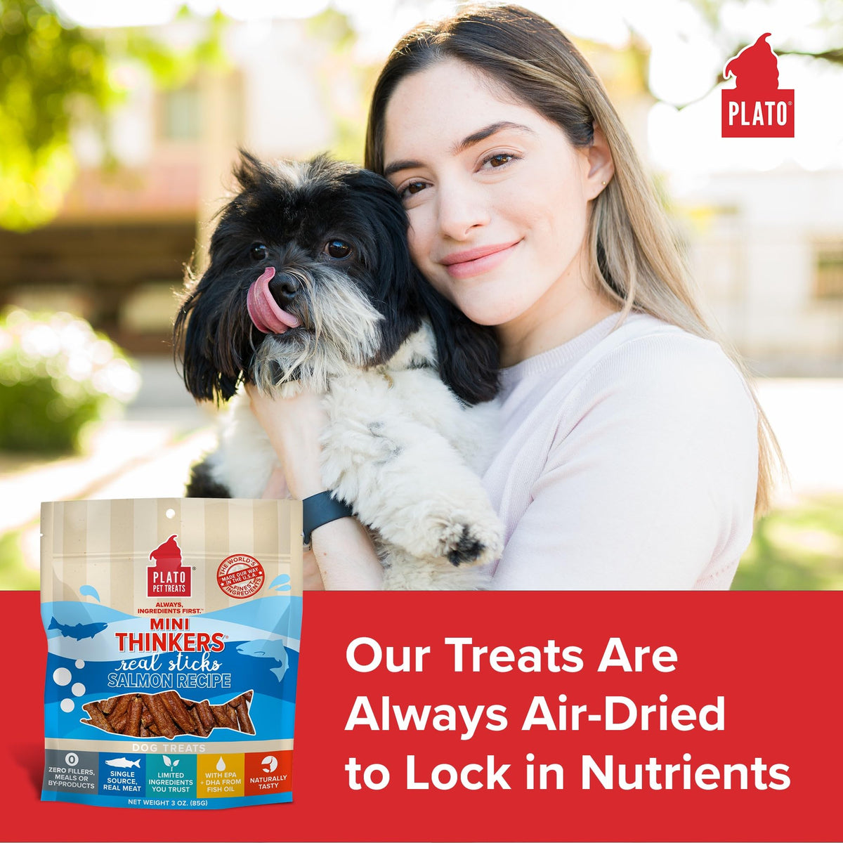 Plato Meat Sticks Salmon Dog Treats, Air-Dried High-Protein Soft Chews with Omega Fish Oil (EPA & DHA), 10 oz