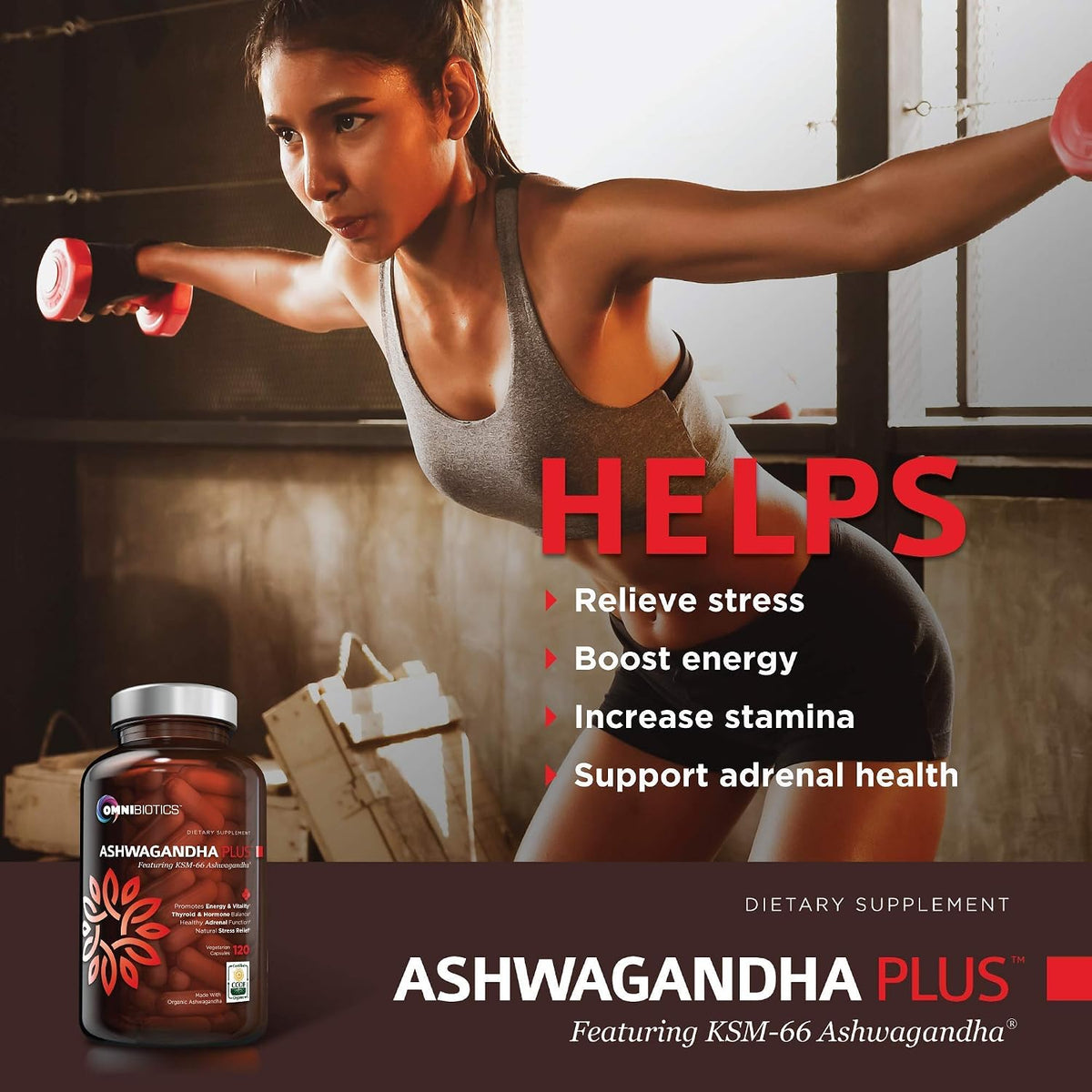 OmniBiotics The Stress Relief & Energy Support Care Package - OmniBiotics Certified Organic Ashwagandha + Magnesium Glycinate for Daily Support