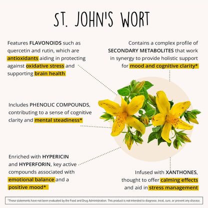 Joy-Filled Mood Support Supplement + St. John's Wort, Plant-Based, 60 Ct