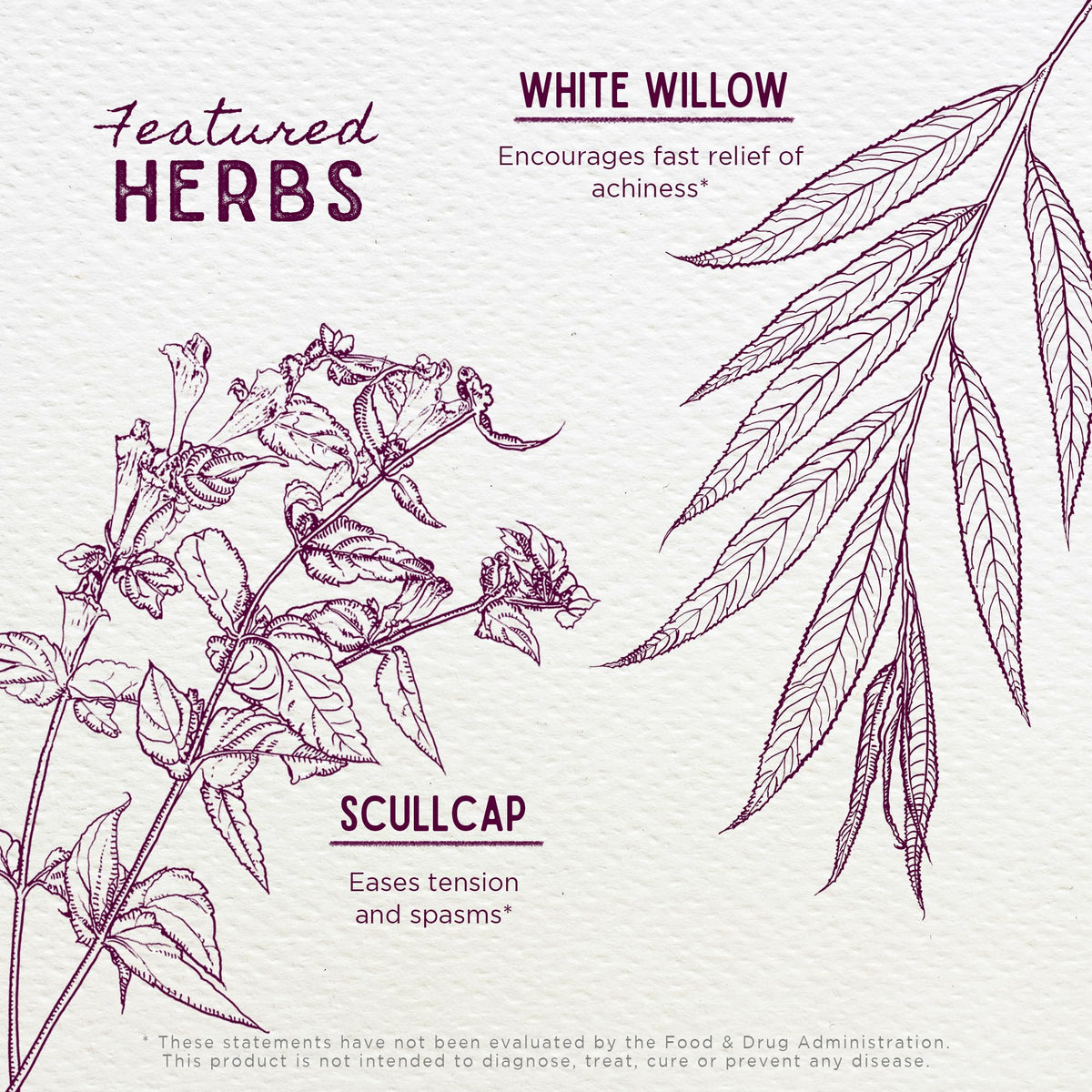 WishGarden Herbs Cranial Comfort - Plant-Based Herbal Supplement with White Willow Bark Extract, Lavender & Scullcap Supports Release of Head, Neck & Shoulders Tension, Stress & Muscle Tension, 4oz WishGardenBuy Supplements Australia