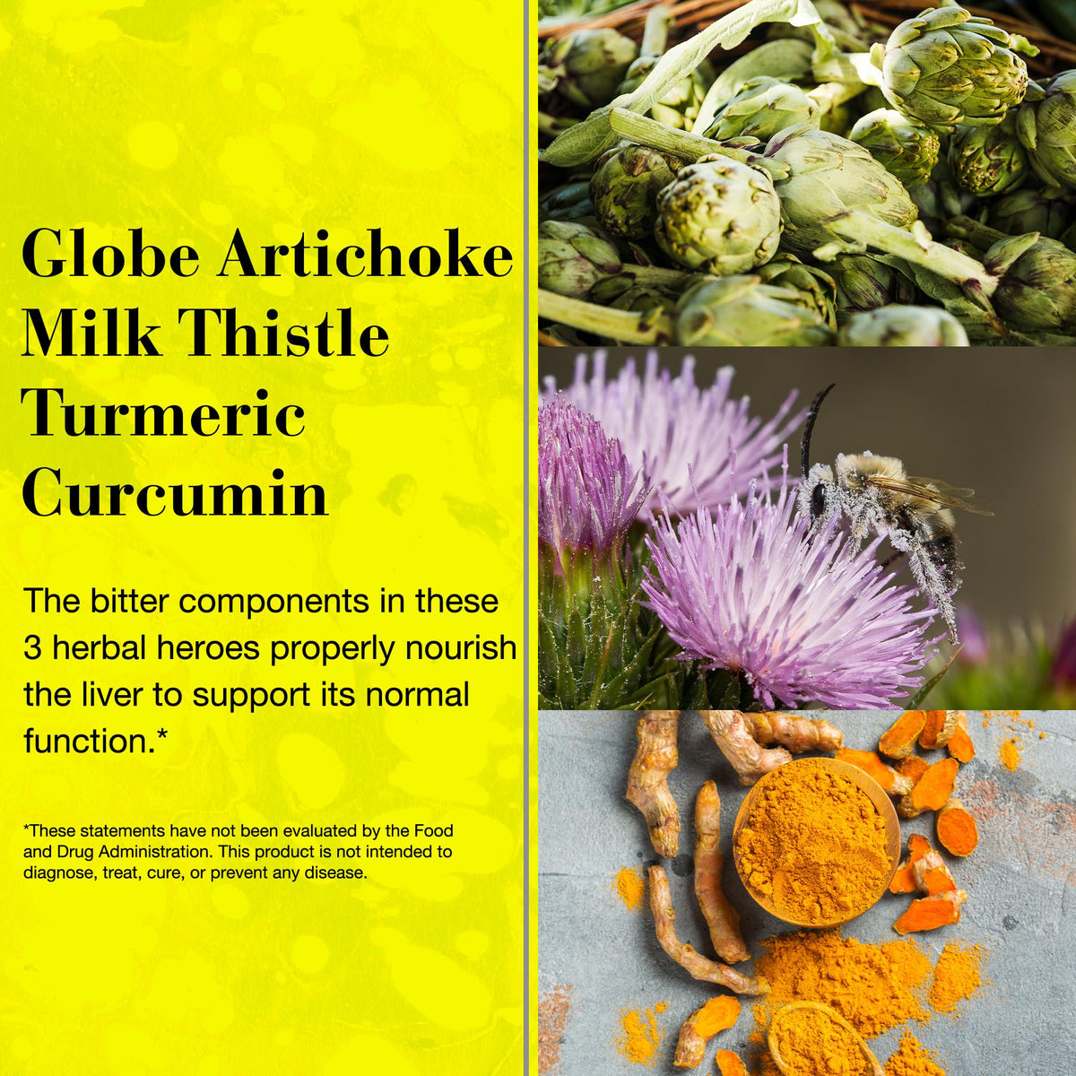 NEW NORDIC Active Liver 30-Day Supply, Daily Liver Supplement, Milk Thistle, Artichoke & Turmeric, 30 Tablets (Pack of 1) NEW NORDICBuy Supplements Australia