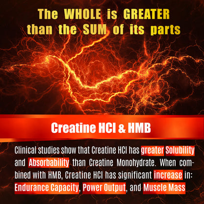 Creatine HCL Capsules with HMB - Workout Supplement for Men & Women, Muscle Builder, Endurance, Strength, Superior to Monohydrate: Instantized for Max Absorption, No Load